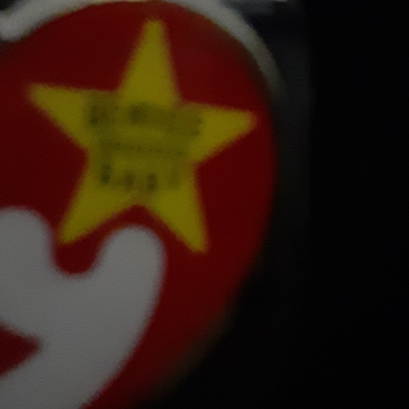 Ty bear - Picture 2 of 2